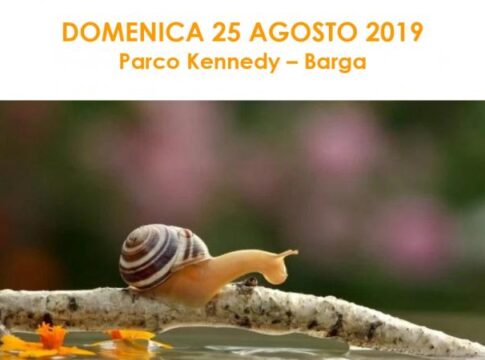 eventobarga2019afcf